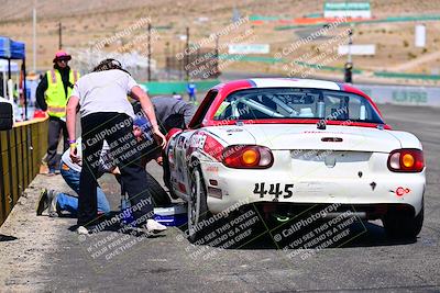 media/May-04-2025-Lucky Dog Racing (Sun) [[21629467aa]]/Around the Pits/
